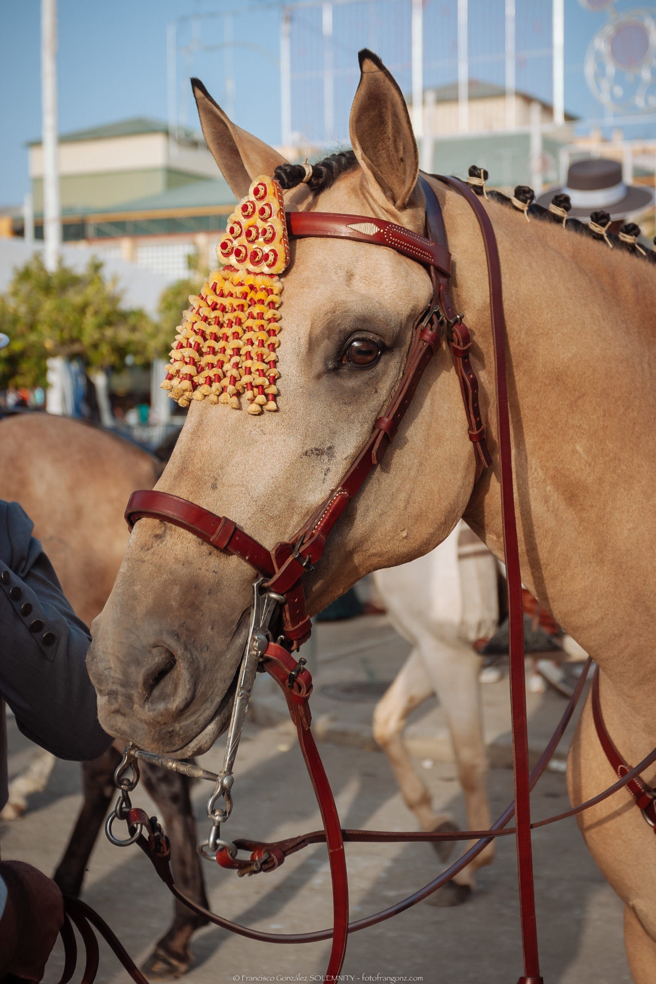 Feria de Marchena caballos